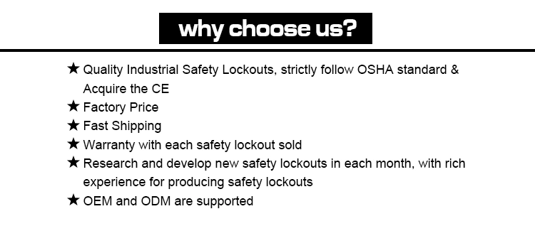 Bozzys Lock Board Tagout Lockout Station for Padlock Hasp